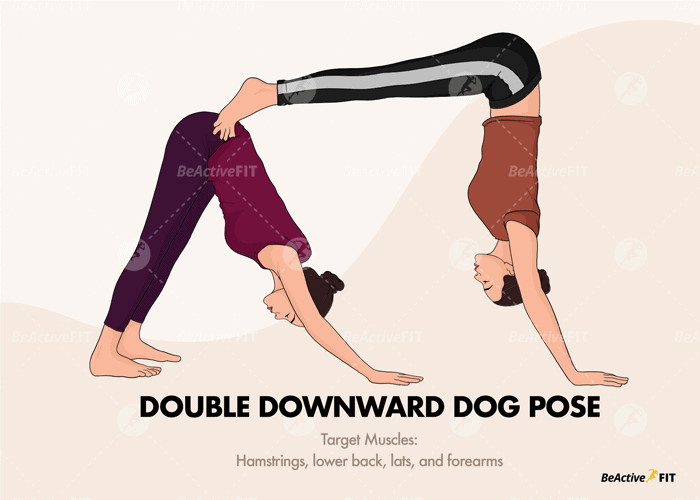 Two persons performing Double Downward Dog Yoga Pose. Target Muscles also indicated.