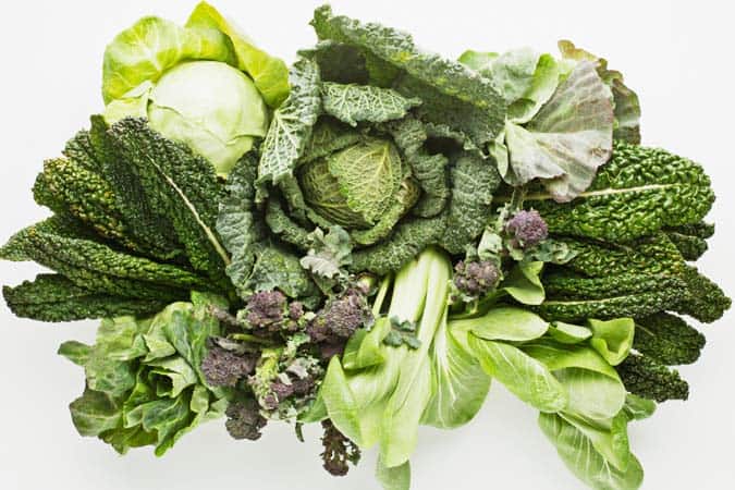Lettuce, collard greens, bok choy, and kale are placed together.