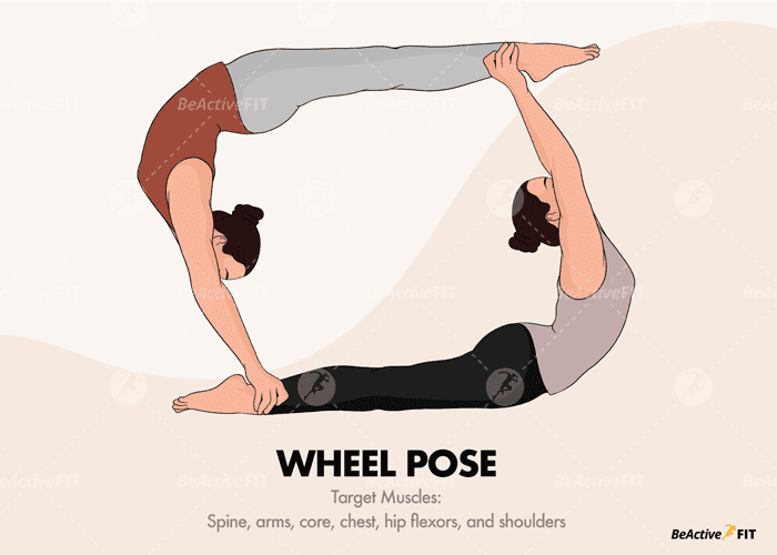 Two persons performing Wheel Yoga Pose. Target Muscles also indicated.