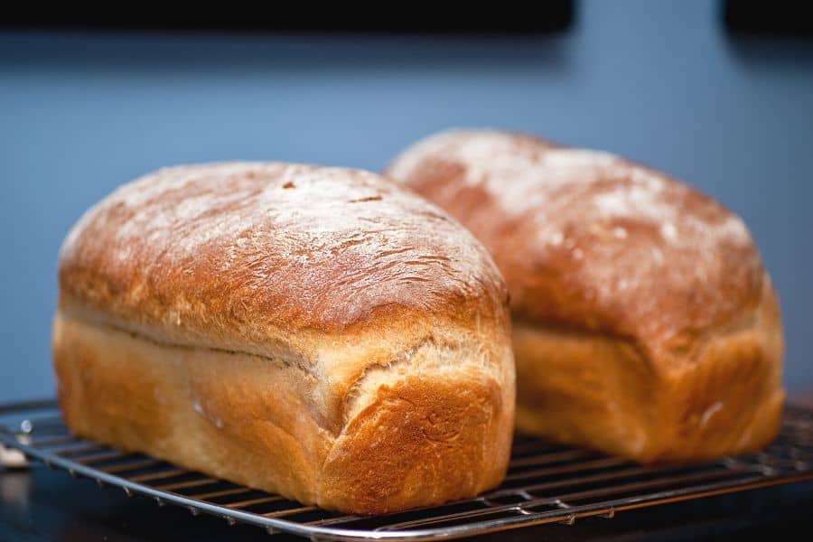 Two freshly-baked loaves of bread on a grill rack.