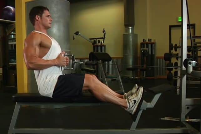 seated cable rows