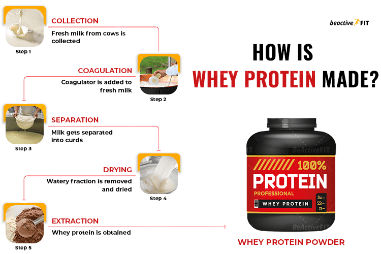 How is Whey Protein Made?