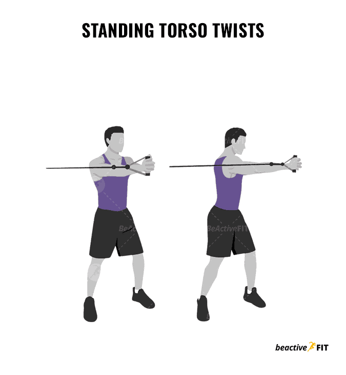Standing Torso Twists Targets - Obliques and core muscles for rotational strength
